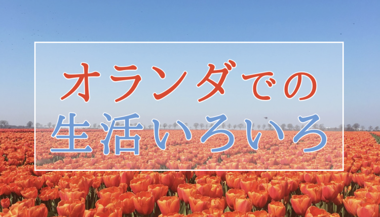 カワイイがいっぱい！ワンダーランド